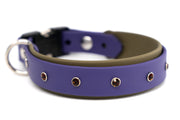 Biothane studded collar | 5 color combinations | spike collar | breakaway safety or standard buckle clasp | adjustable - Fox Valley Pet Wear