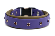 Biothane studded collar | 5 color combinations | spike collar | breakaway safety or standard buckle clasp | adjustable - Fox Valley Pet Wear