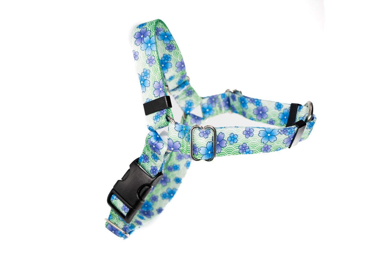 April Blossoms No Pull Harness | Large | 1" wide | Plastic Buckle