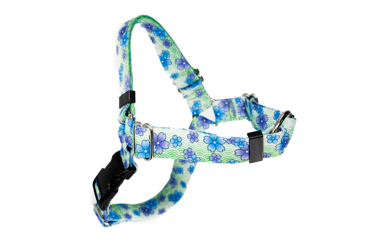 April Blossoms No Pull Harness | Large | 1" wide | Plastic Buckle