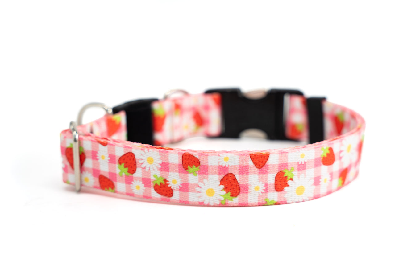 BREAKAWAY Personalized "Strawberry Picnic" Patterned Collar | Limited Edition