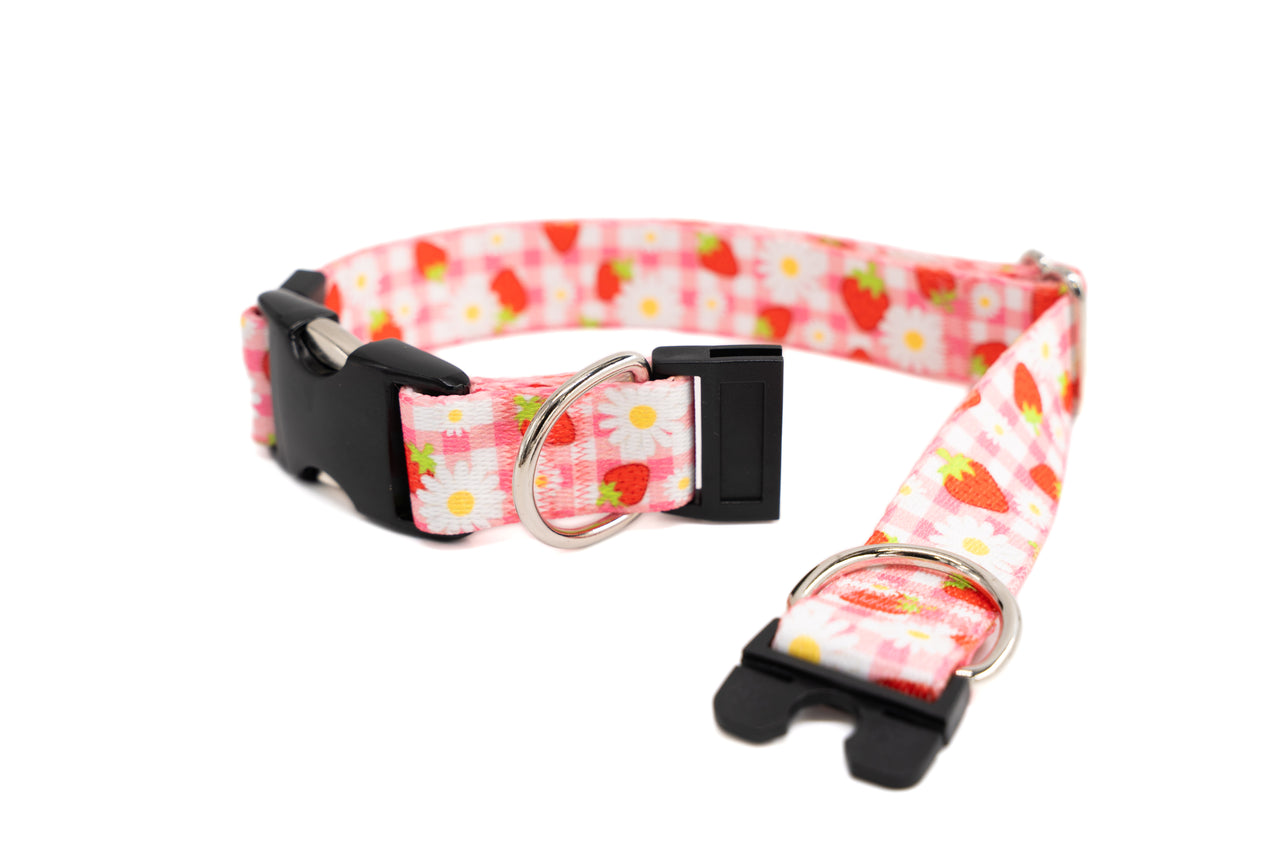 BREAKAWAY Personalized "Strawberry Picnic" Patterned Collar | Limited Edition