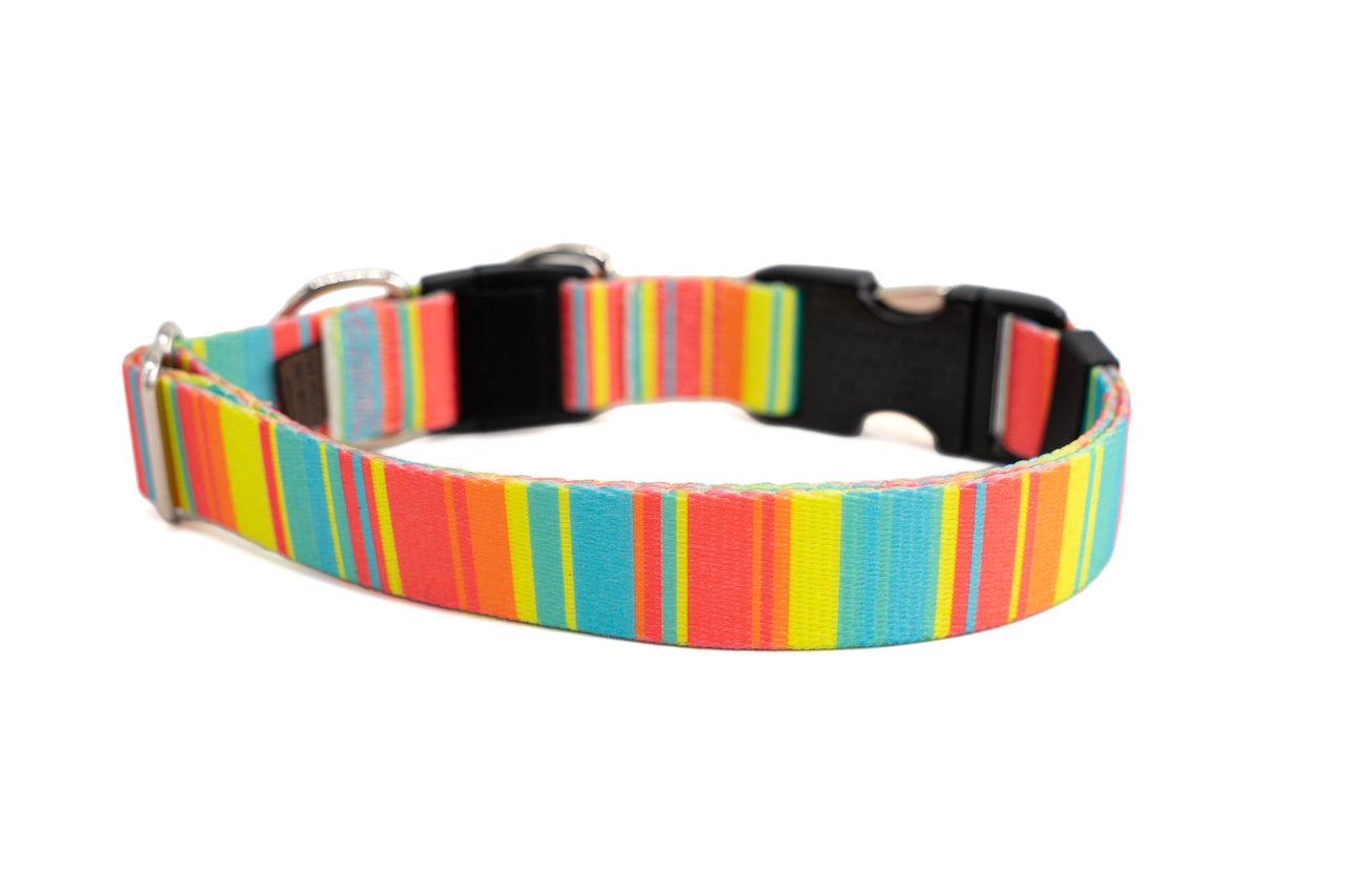 BREAKAWAY Personalized "Sorbet Stripes" Patterned Collar | Limited Edition