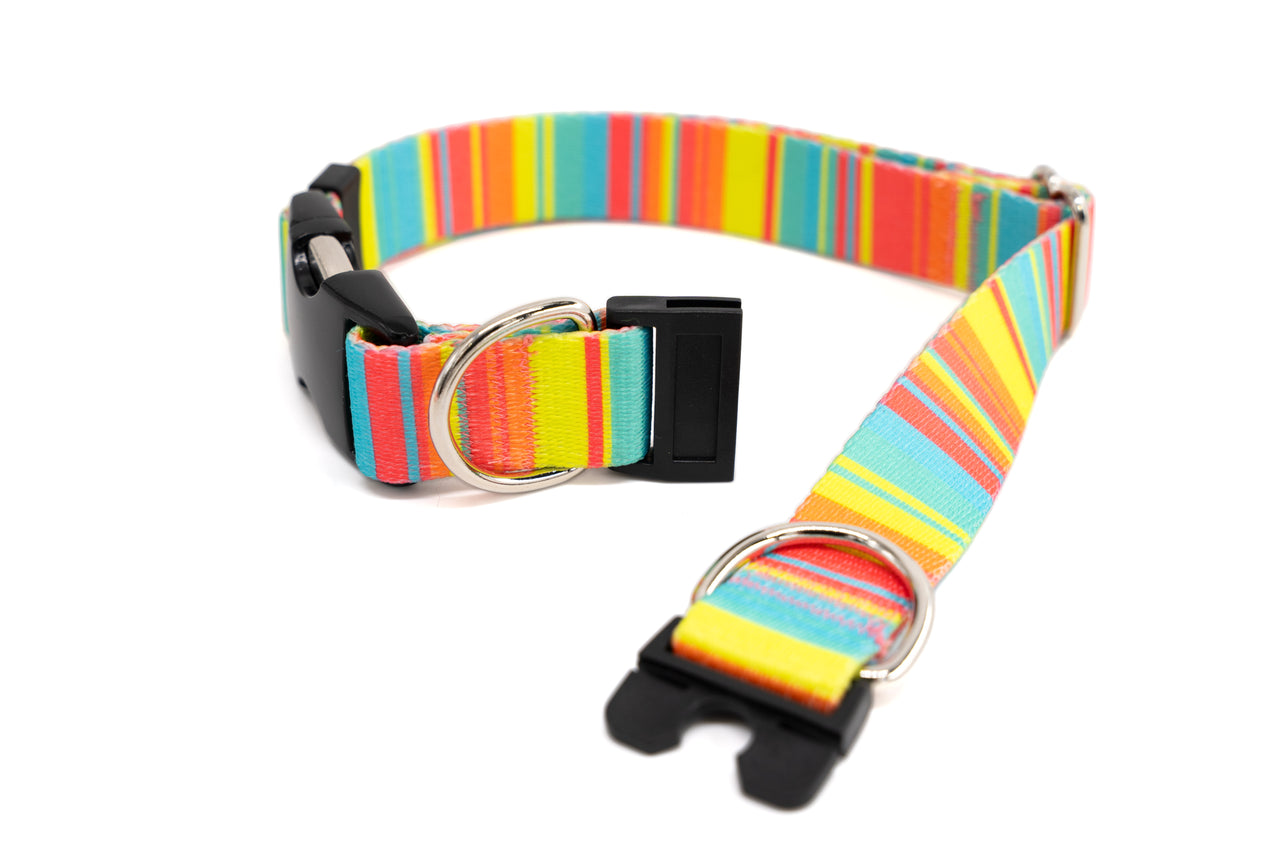 BREAKAWAY Personalized "Sorbet Stripes" Patterned Collar | Limited Edition