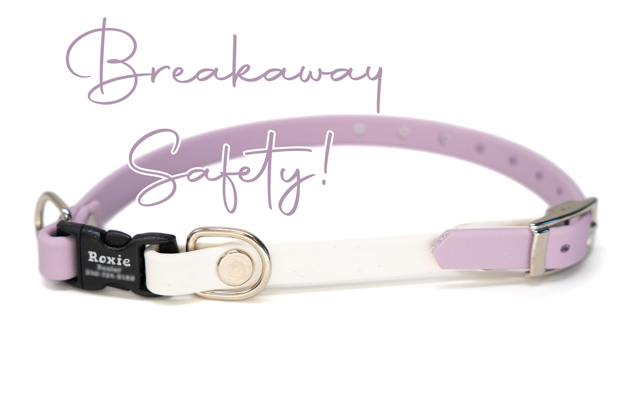 Breakaway Biothane Collar | 3/8" wide for small dogs or cats | waterproof