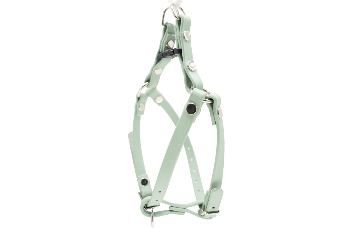 Waterproof Biothane Step-In Dog Harness | For Very Small Dogs & Cats