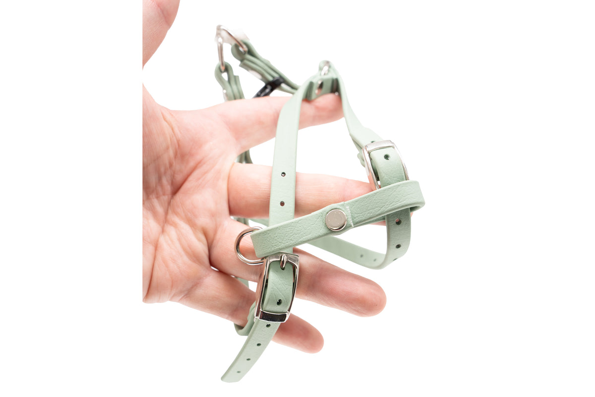 Waterproof Biothane Step-In Dog Harness | For Very Small Dogs & Cats