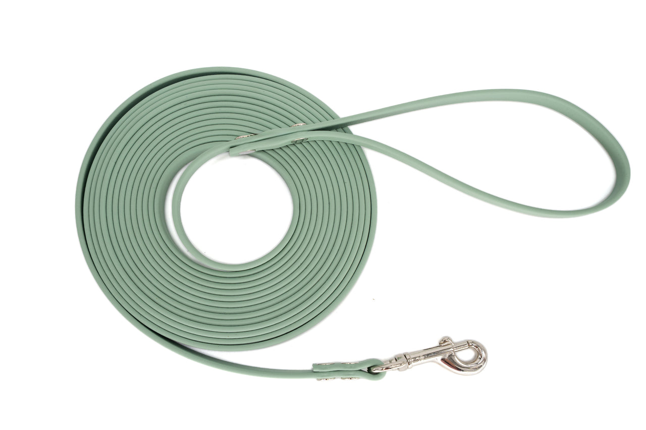 Biothane 3/8" wide Small Dog, Cat, Pet Leash