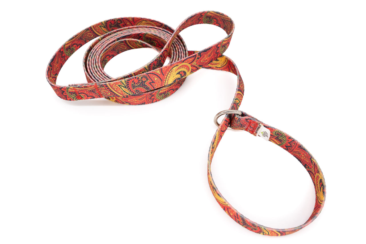 Fire Paisley Slip Lead, Kennel Leash, Collar/Leash Combo | 5/8" | 7ft