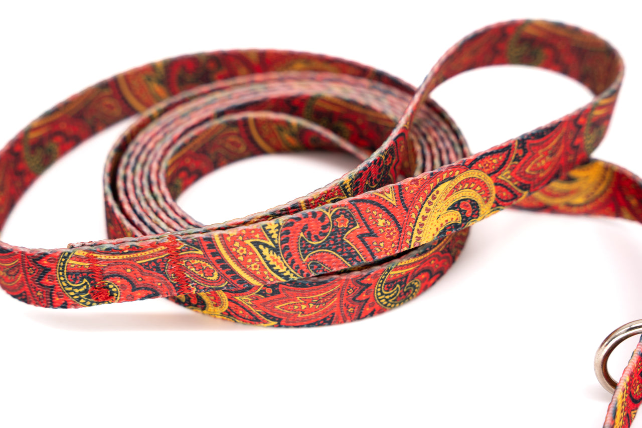 Fire Paisley Slip Lead, Kennel Leash, Collar/Leash Combo | 5/8" | 7ft