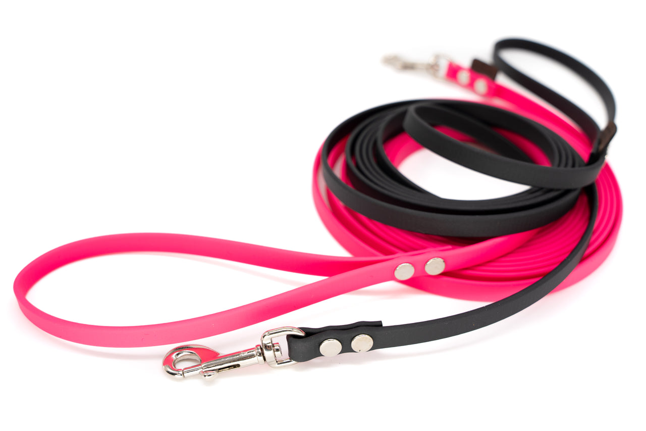 Biothane 3/8" wide Small Dog, Cat, Pet Leash