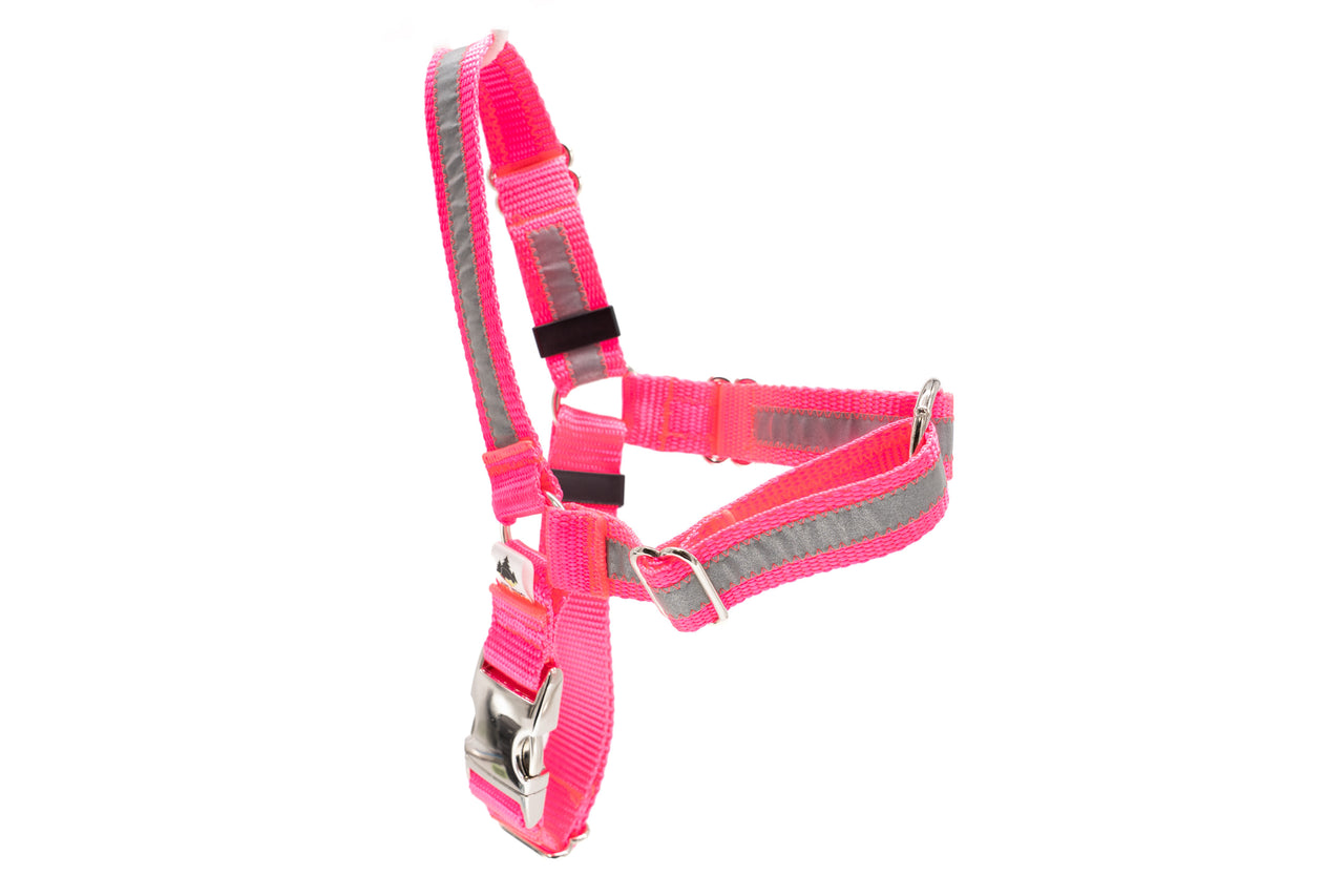 Reflective No Pull Harness - Medium - Hot Pink | 1" wide | Silver metal buckle