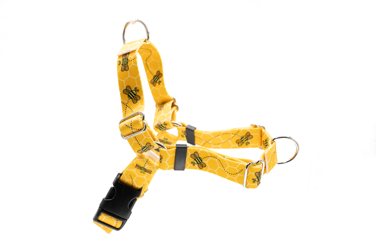 Dual-Attach No Pull Harness | Medium | Busy Bees | 1" wide | plastic buckle