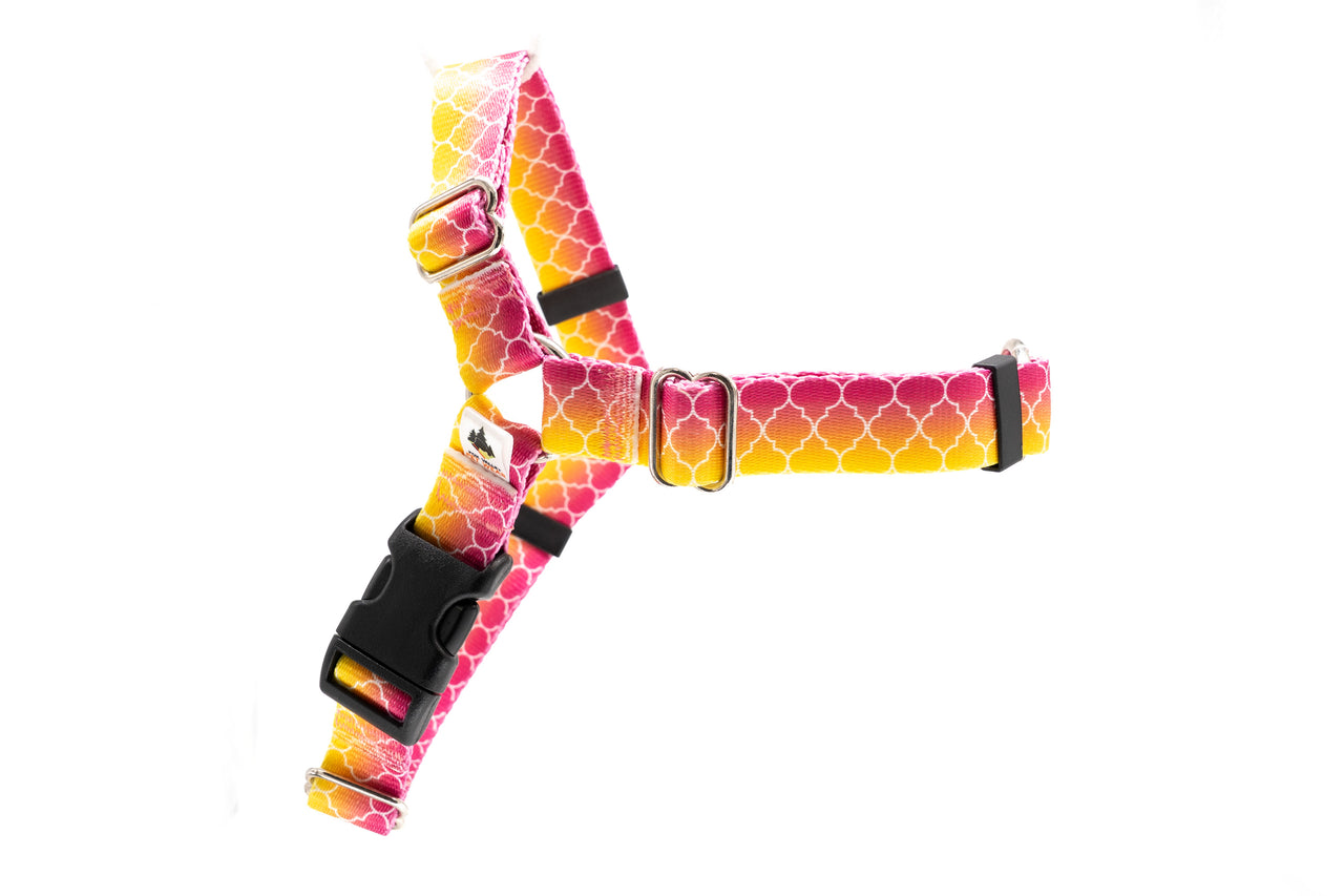Fruity Ombre No Pull Harness | Large | 1" wide | Plastic Buckle