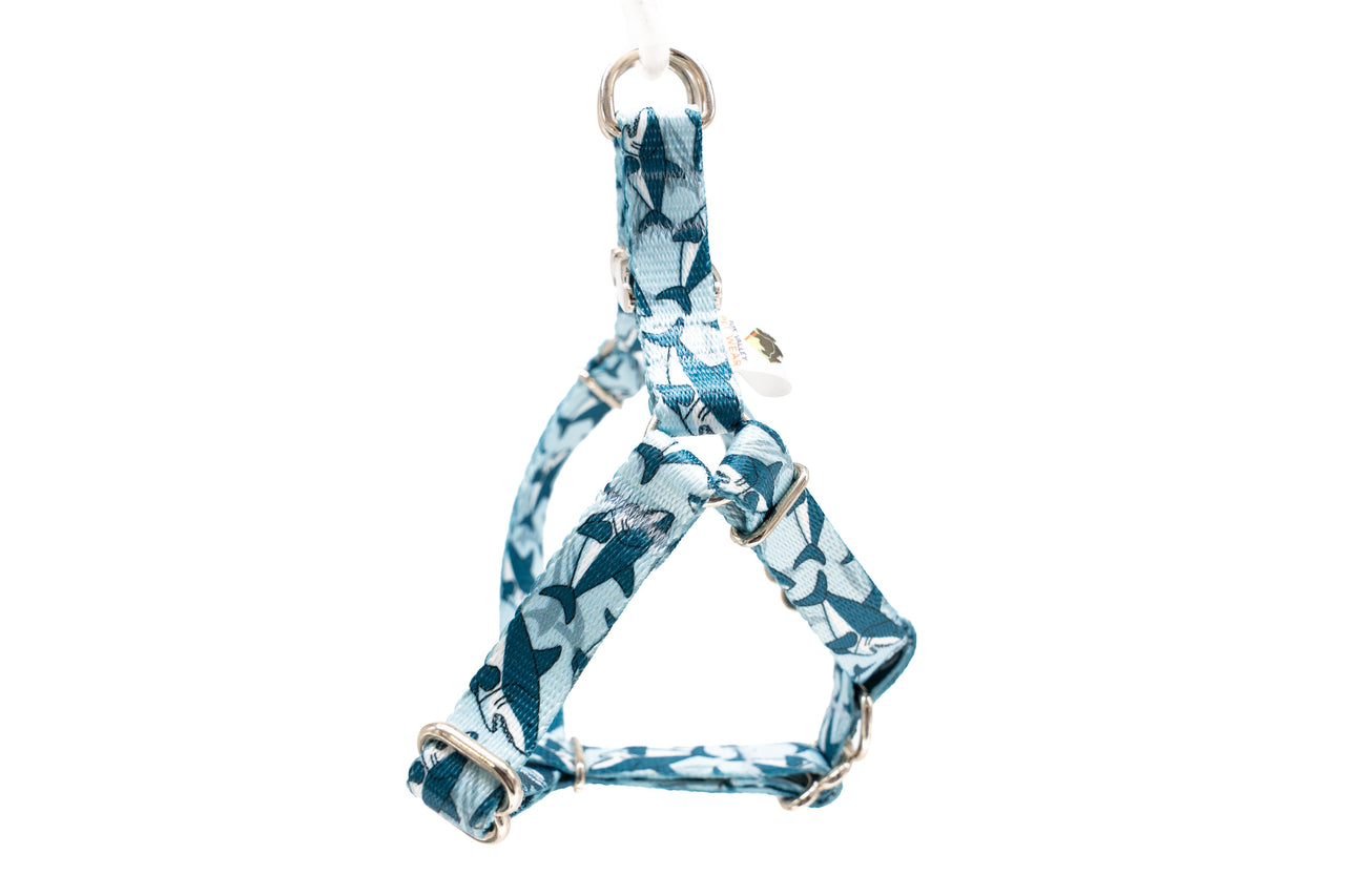 Blue Sharks - Step-In Harness | 5/8" wide | Small | Silver metal buckle