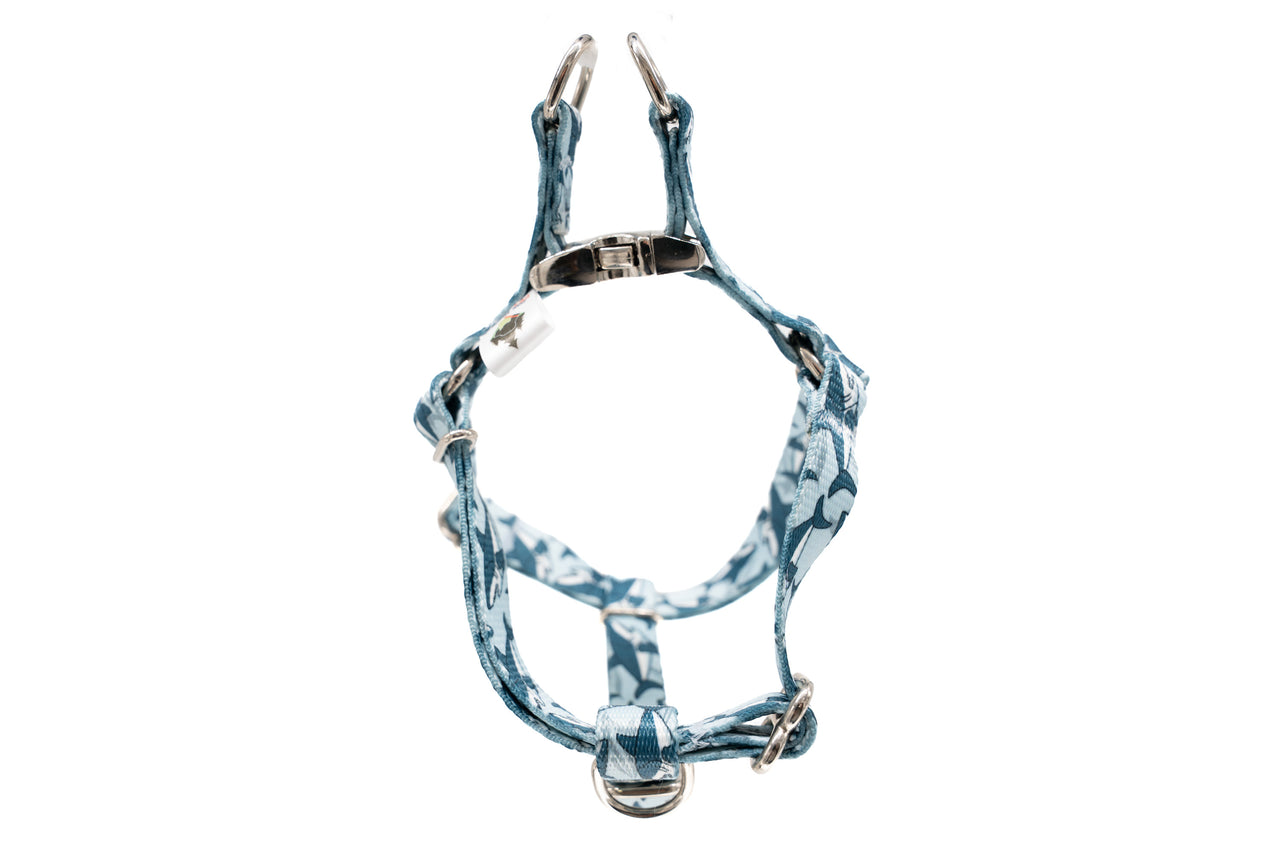 Blue Sharks - Step-In Harness | 5/8" wide | Small | Silver metal buckle