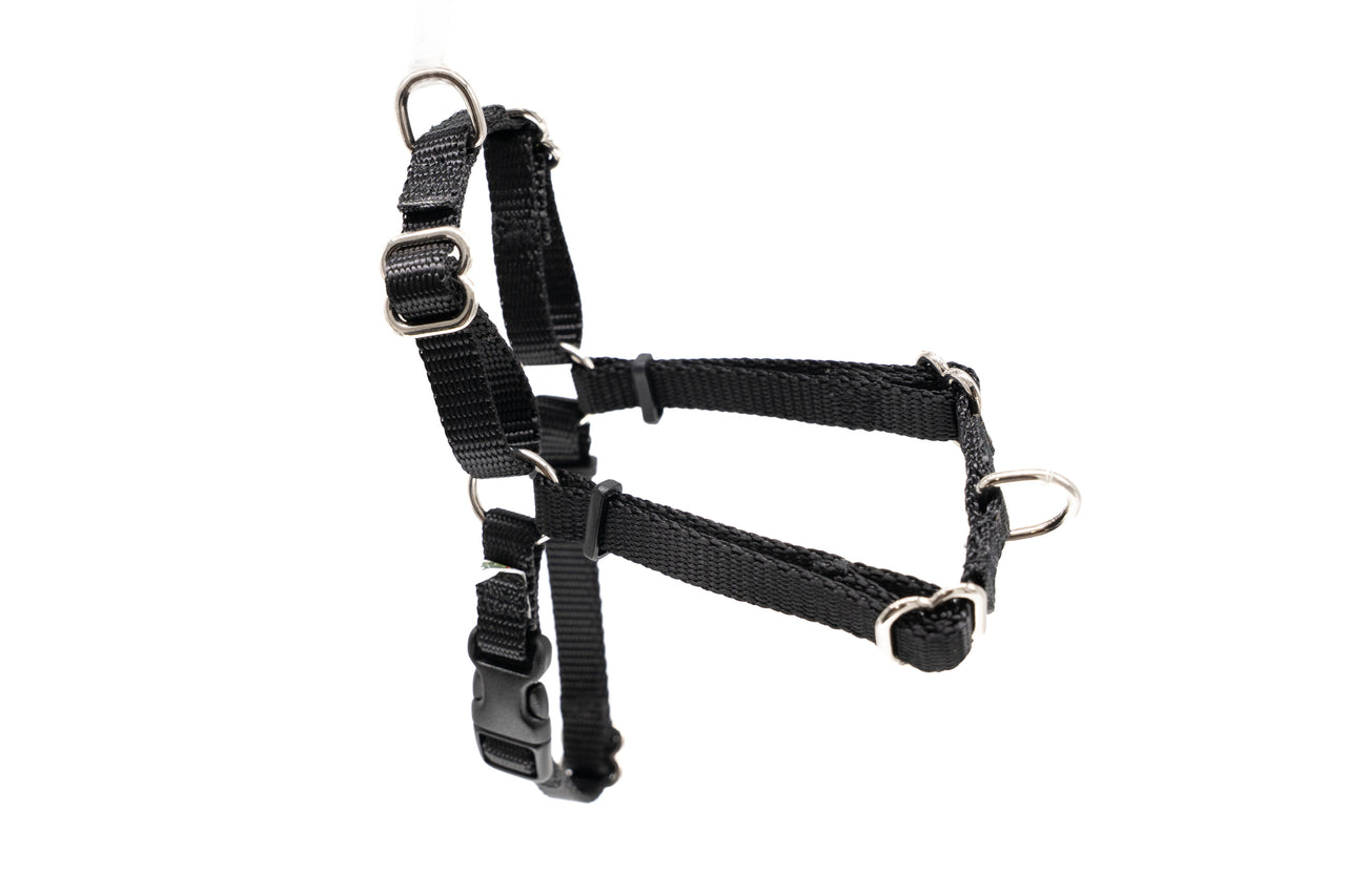 Dual-Attach No Pull Harness | XXS| Black | 3/8" wide | plastic buckle