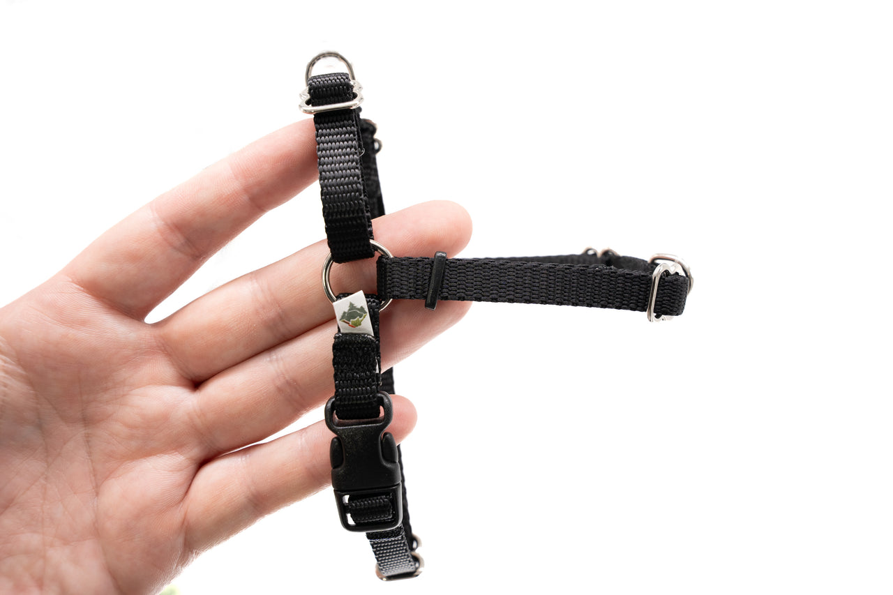 Dual-Attach No Pull Harness | XXS| Black | 3/8" wide | plastic buckle