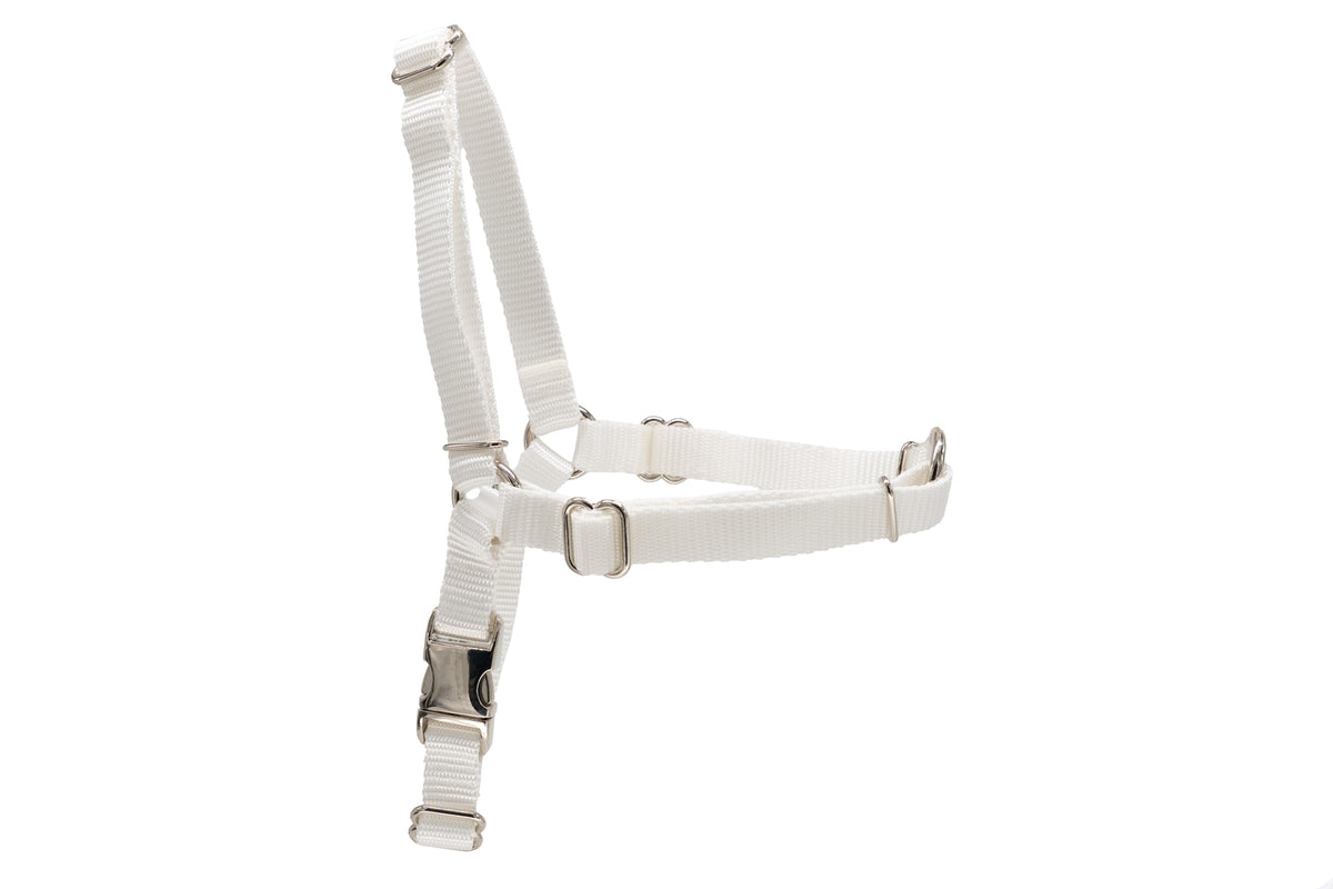 White No Pull Harness | 2 sizes | Silver metal buckle