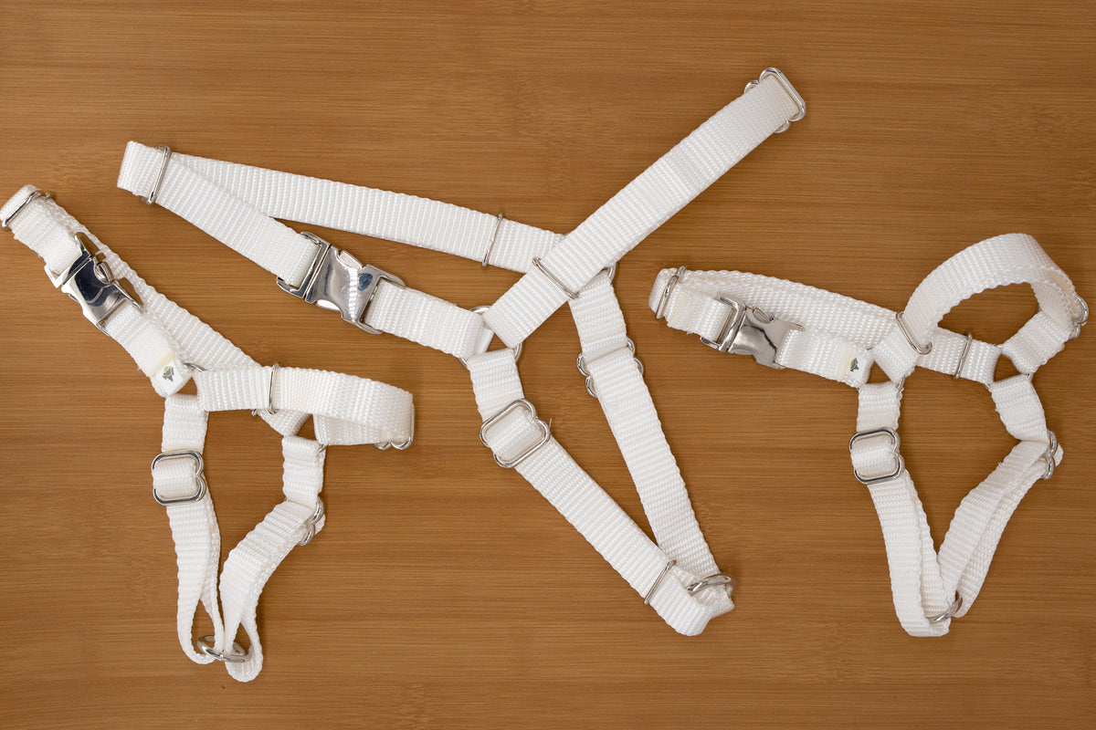 White No Pull Harness | 2 sizes | Silver metal buckle