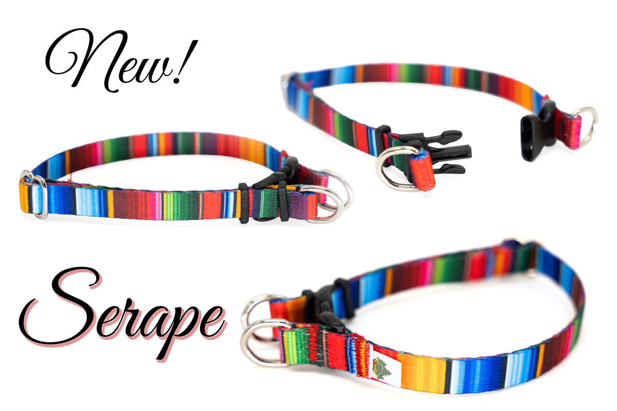 3/8" BreakAway TINY Dog Collar for small dogs | 16 colors | Solid or Reflective