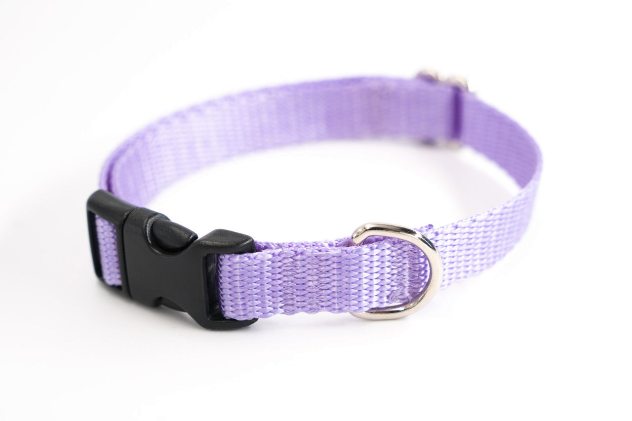 Lavender | Flat Side Release Collar | Medium | 11"-16" | 5/8" wide | plastic buckle