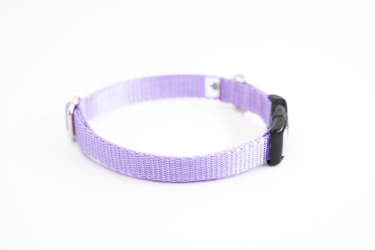Lavender | Flat Side Release Collar | Medium | 11"-16" | 5/8" wide | plastic buckle