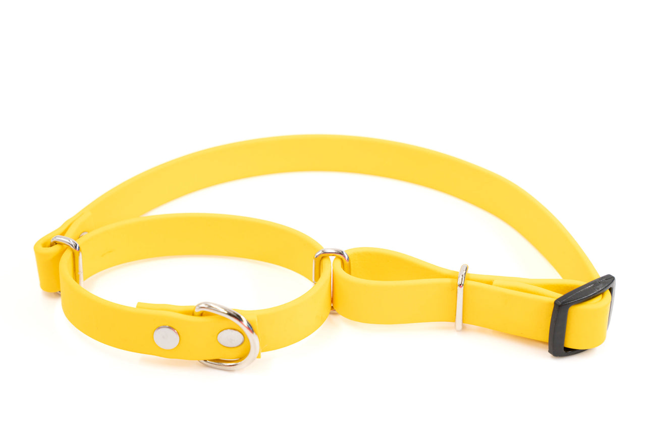 Waterproof Martingale | Biothane | Lemon yellow | Medium 12"-18" | 5/8" wide