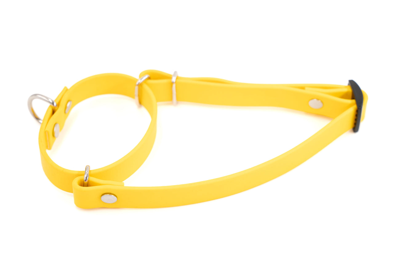 Waterproof Martingale | Biothane | Lemon yellow | Medium 12"-18" | 5/8" wide