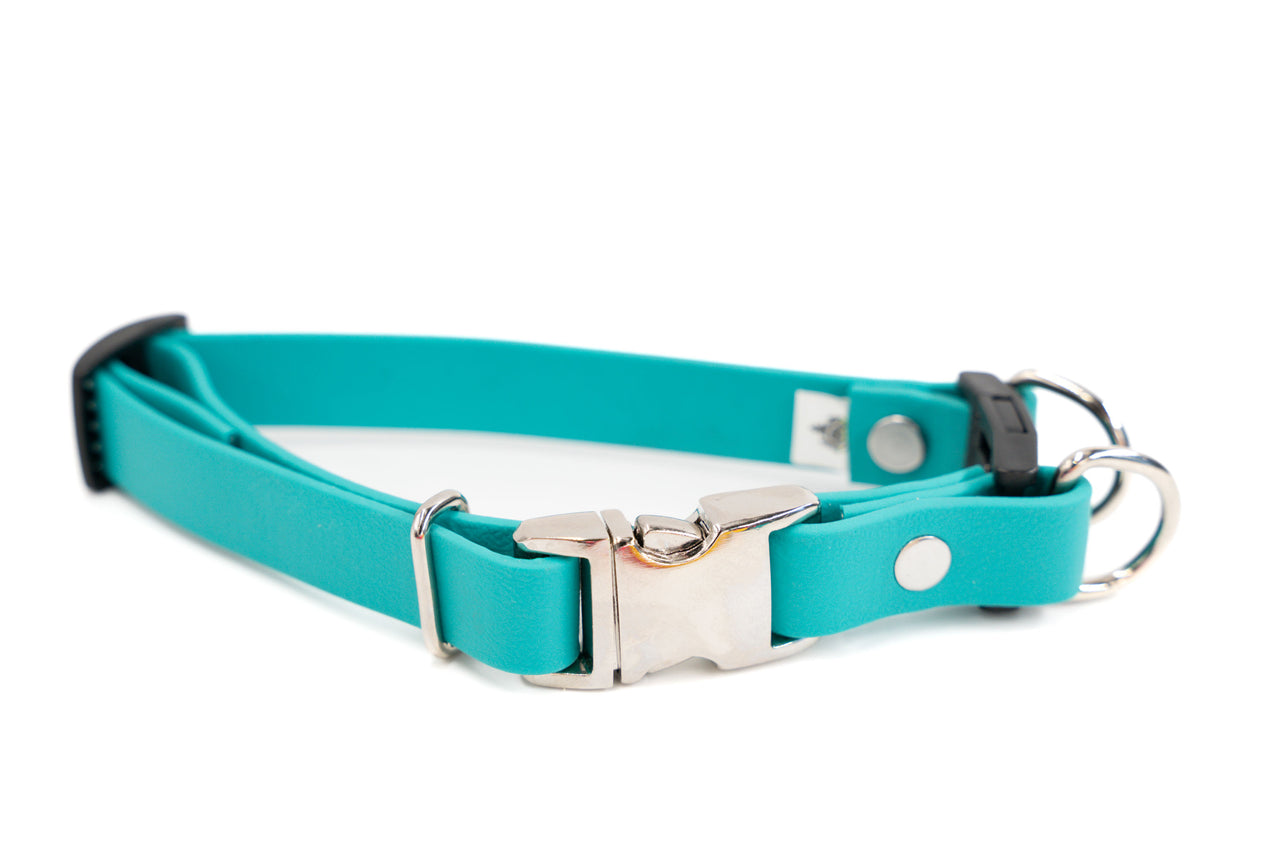 BREAKAWAY | Waterproof Biothane | Teal | Small 10"-14" | 5/8" wide | silver buckle
