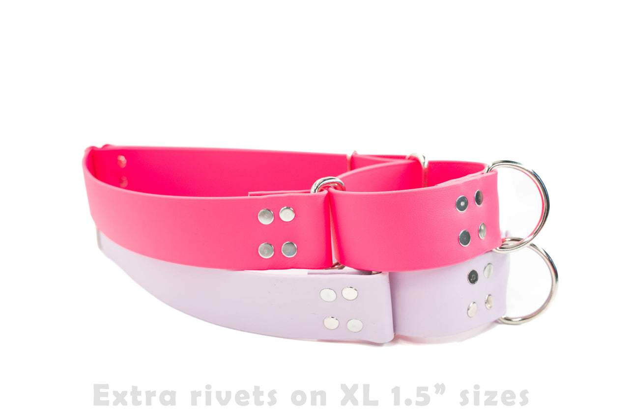 Biothane - Martingale Collar | 8 colors | 4 widths