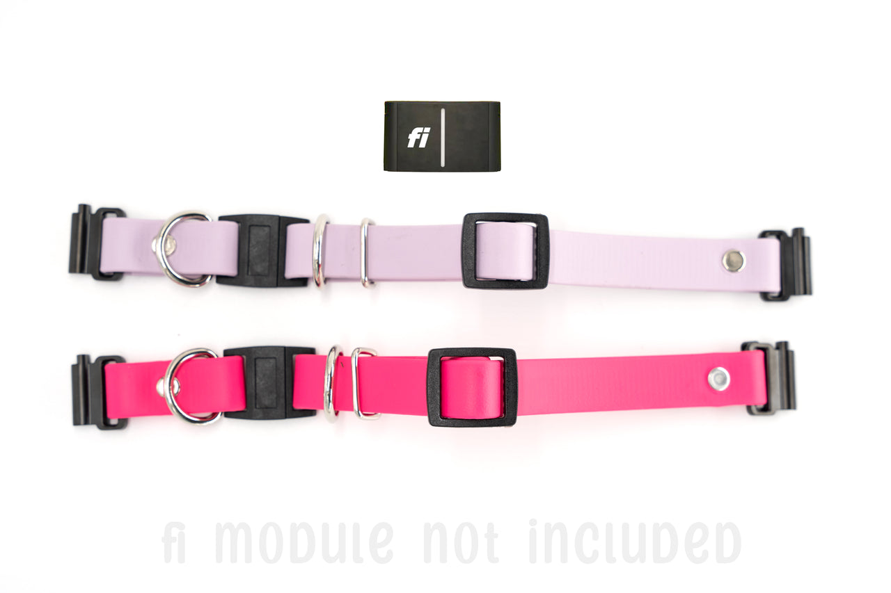 Biothane Fi Compatible BREAKAWAY Collars | WITHOUT buckle | Series 3/3+