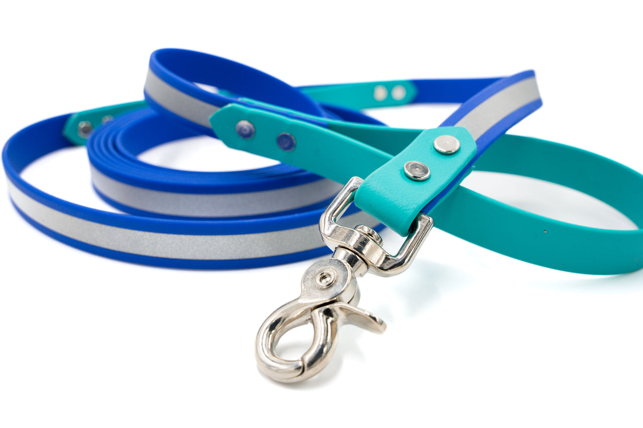 Waterproof Leash | Reflective Biothane | 10ft with trigger snap & traffic handle