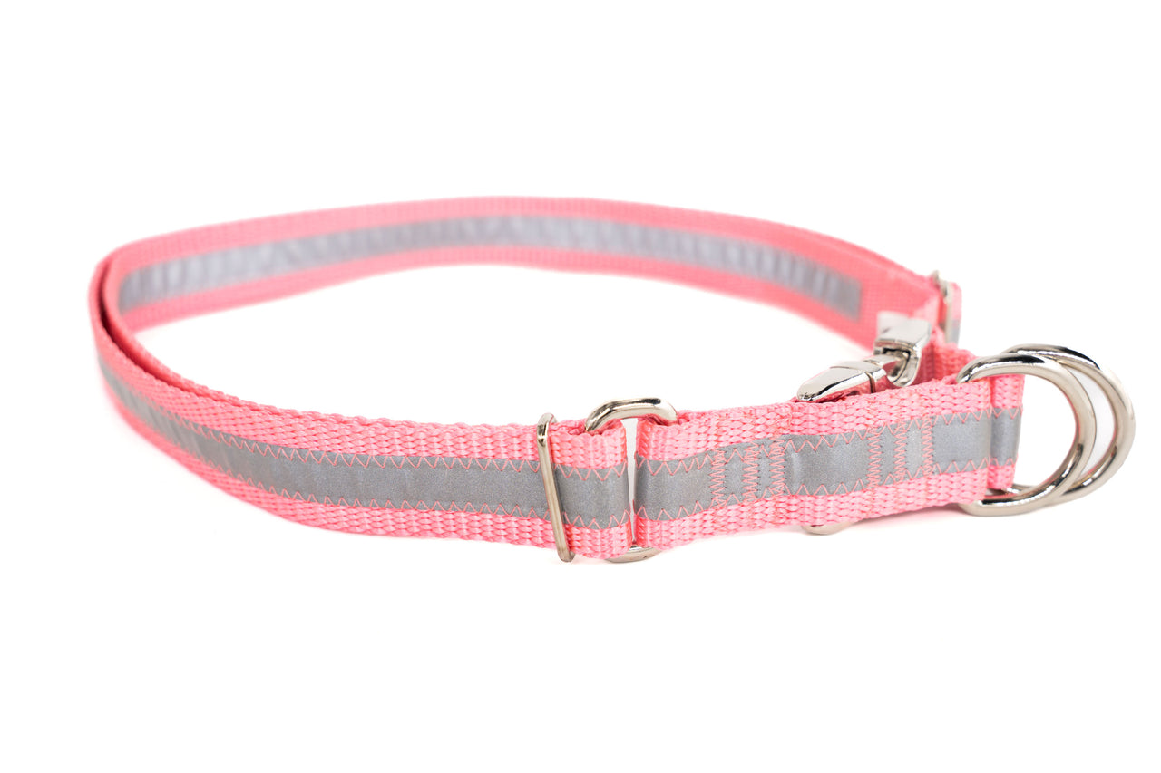 Reflective Light Pink | Double-D-ring Side Release Collar | XXL 26"-46" in 1" wide