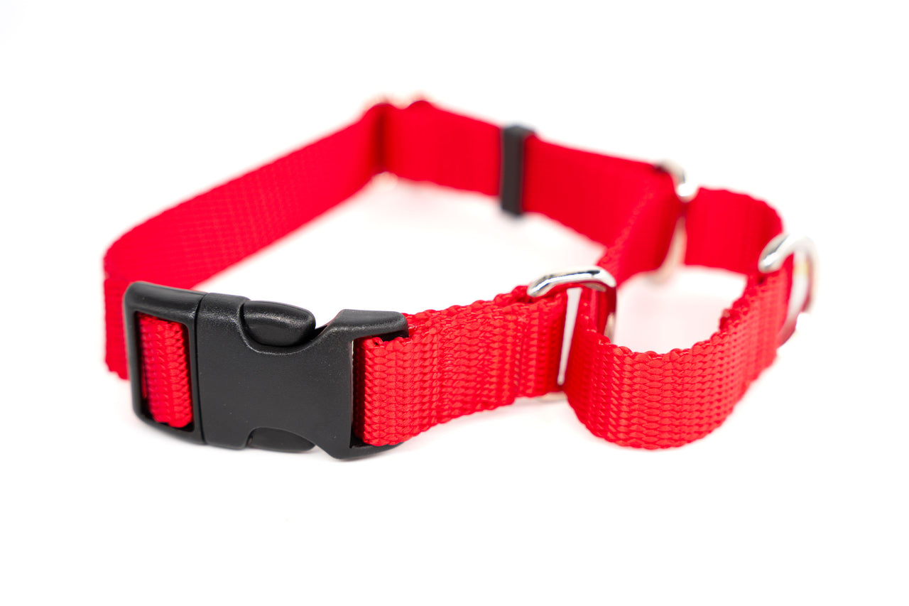 Red Quick Release Martingale - Medium 13"-17 | 3/4" wide | plastic buckle