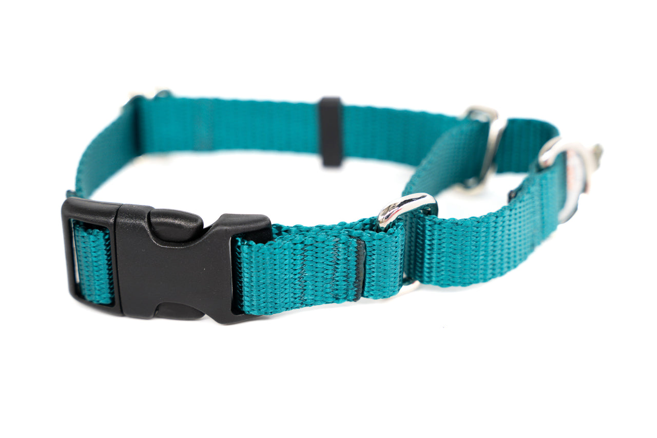 Teal Quick Release Martingale - Medium 13"-17 | 3/4" wide | plastic buckle