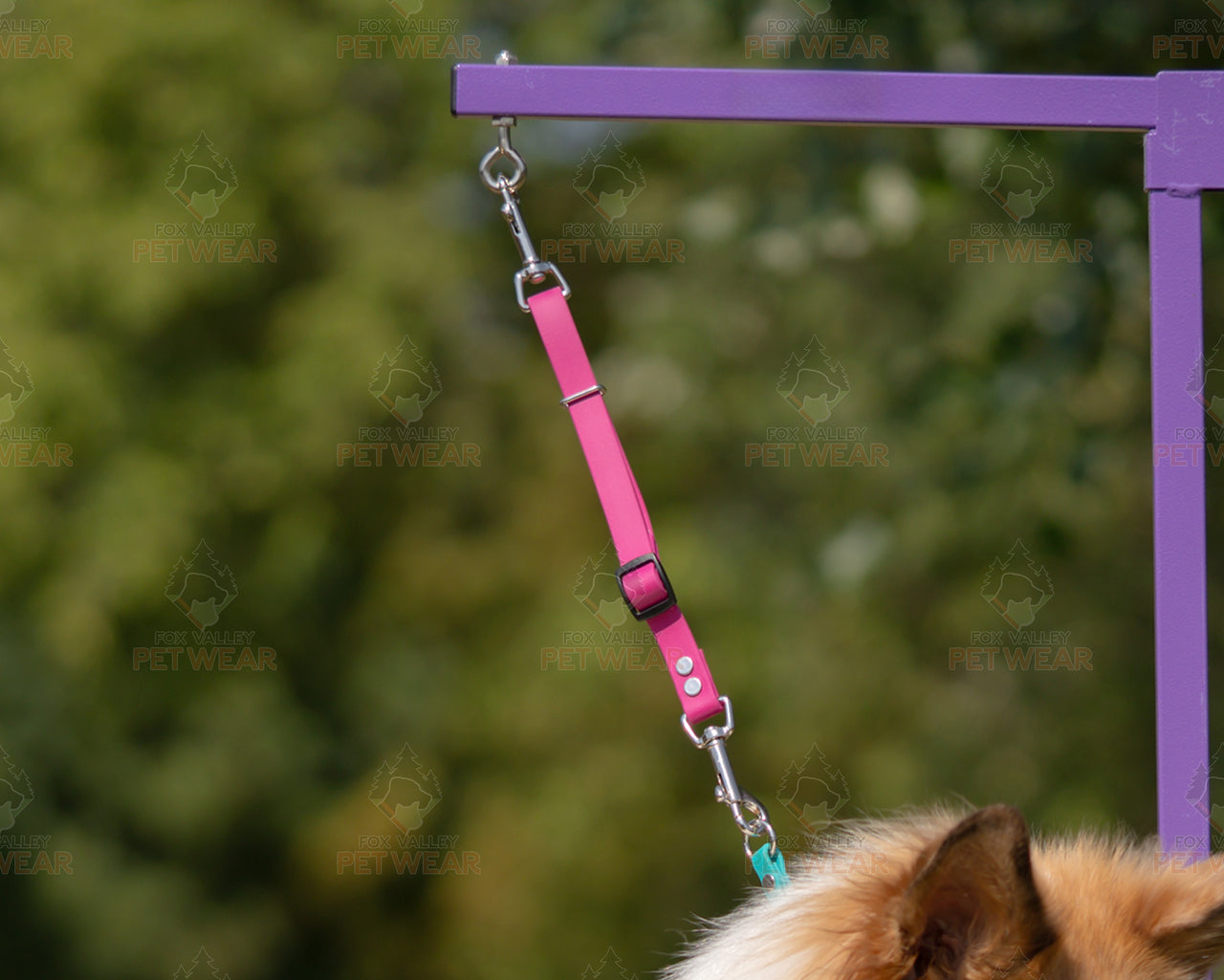 Adjustable Biothane® Grooming Tether | 5 colors | 2 lengths