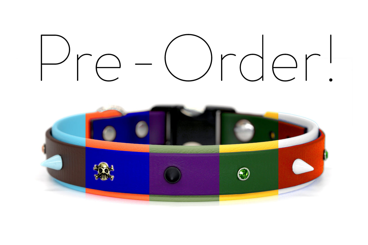 PRE-ORDER Biothane studded collar | 5 color combinations | spike collar | breakaway safety or standard buckle clasp | adjustable