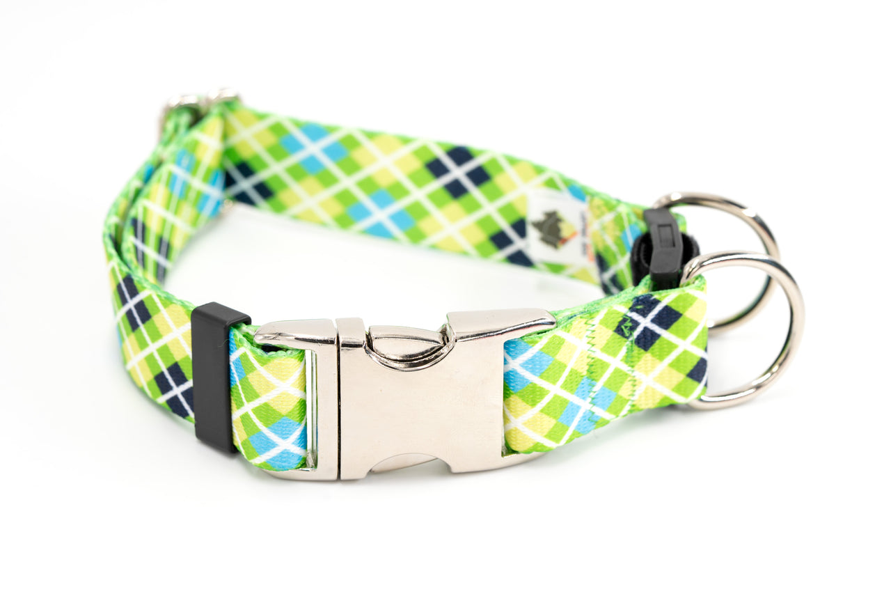 BREAKAWAY Personalized "Lucky Dog" Patterned Collar