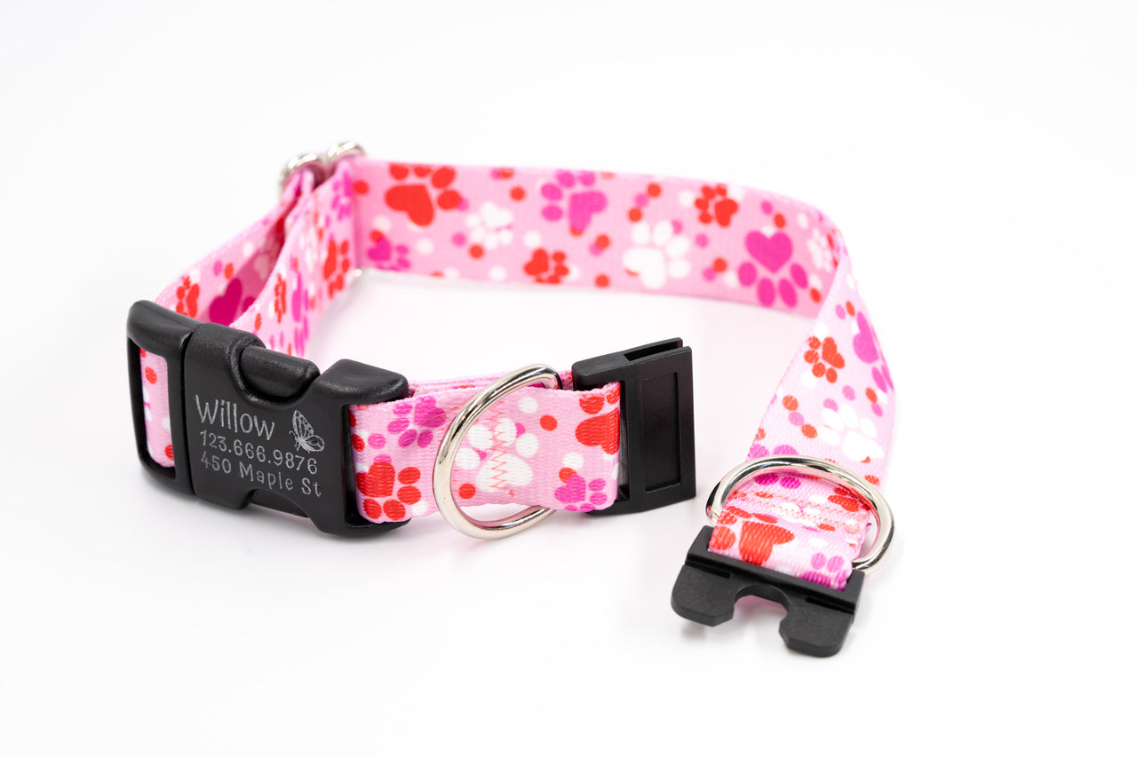 BREAKAWAY Personalized "Puppy Love" Patterned Collar