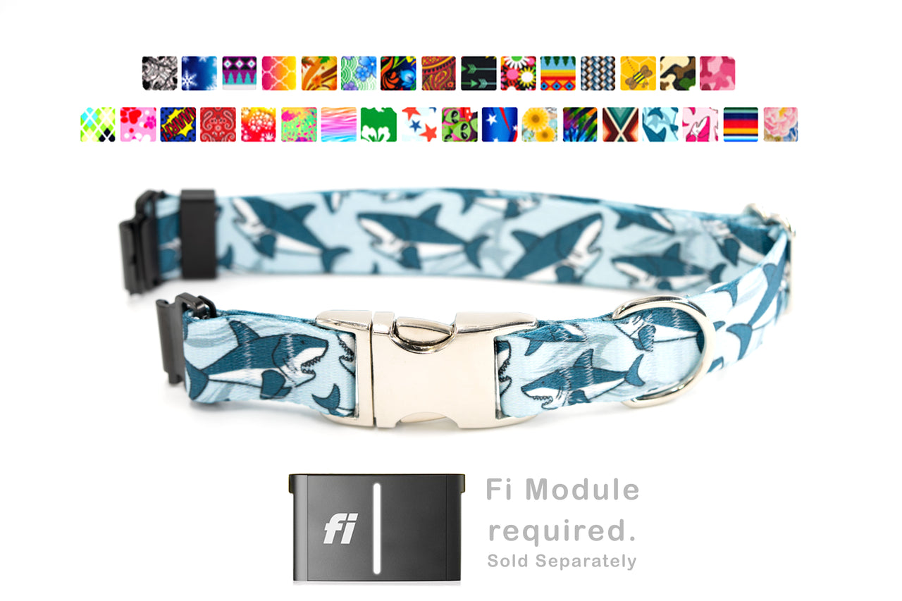 PRINTS - Fi Compatible flat adjustable collar | Personalized buckle | series 3 / 3+ collar bands | 30 PRINTS - adjustable 3/4" or 1" wide