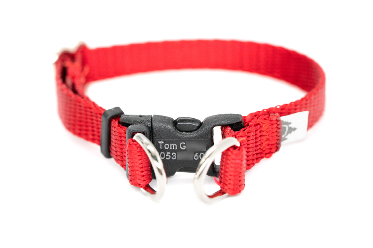 3/8" BreakAway TINY Dog Collar for dogs under 10lbs | 16 colors | Solid or Reflective