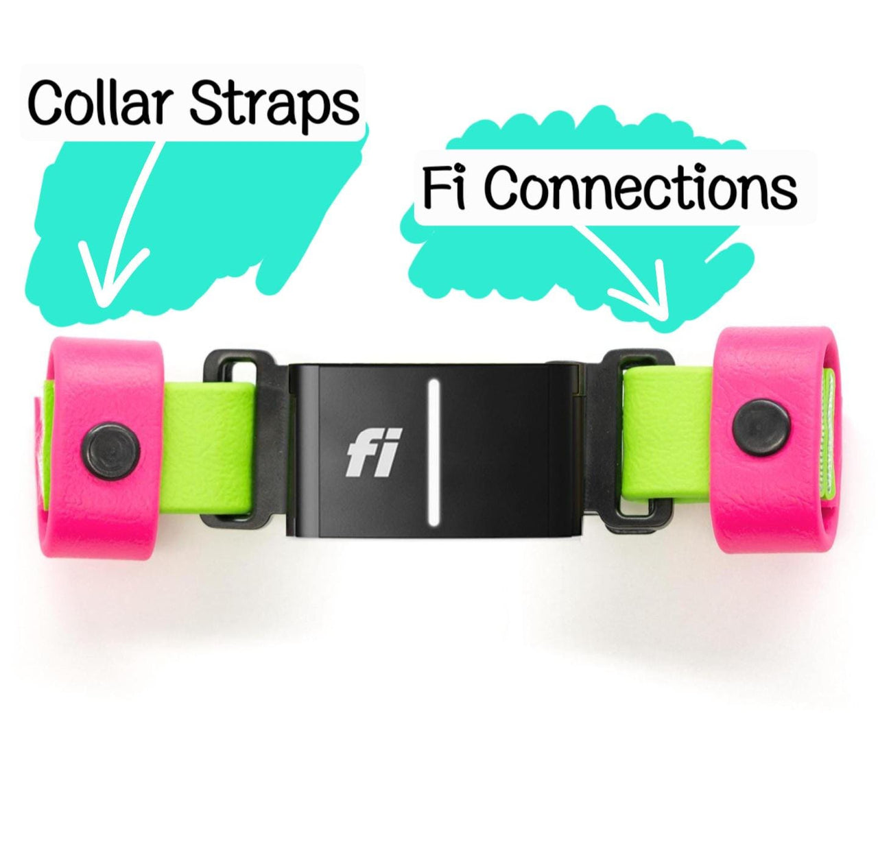 Fi GPS Holder | 2-Tone | Make any Collar or Harness Fi-Compatible! | Fi Series 3/3+