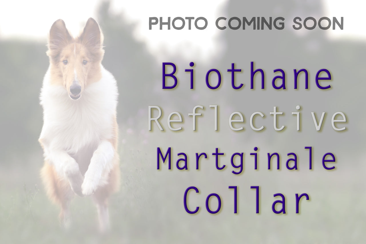 Biothane - REFLECTIVE Martingale | 4 colors | 2 widths