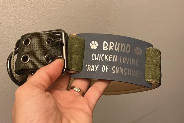 Bruno name best sale dog collar