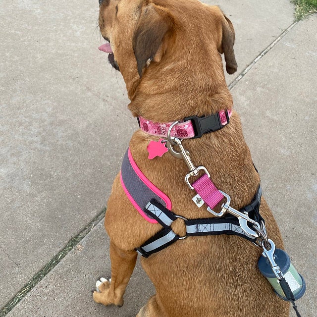 Biothane - Harness-to-collar Safety Clips