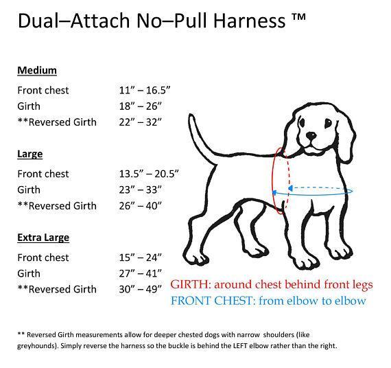 Reflective Dual-Attach No Pull Harness - Medium - Red