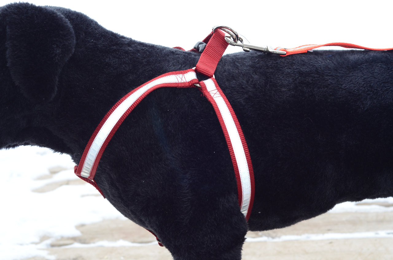 Step-In Dog Harness | Solid or Reflective | 20 colors