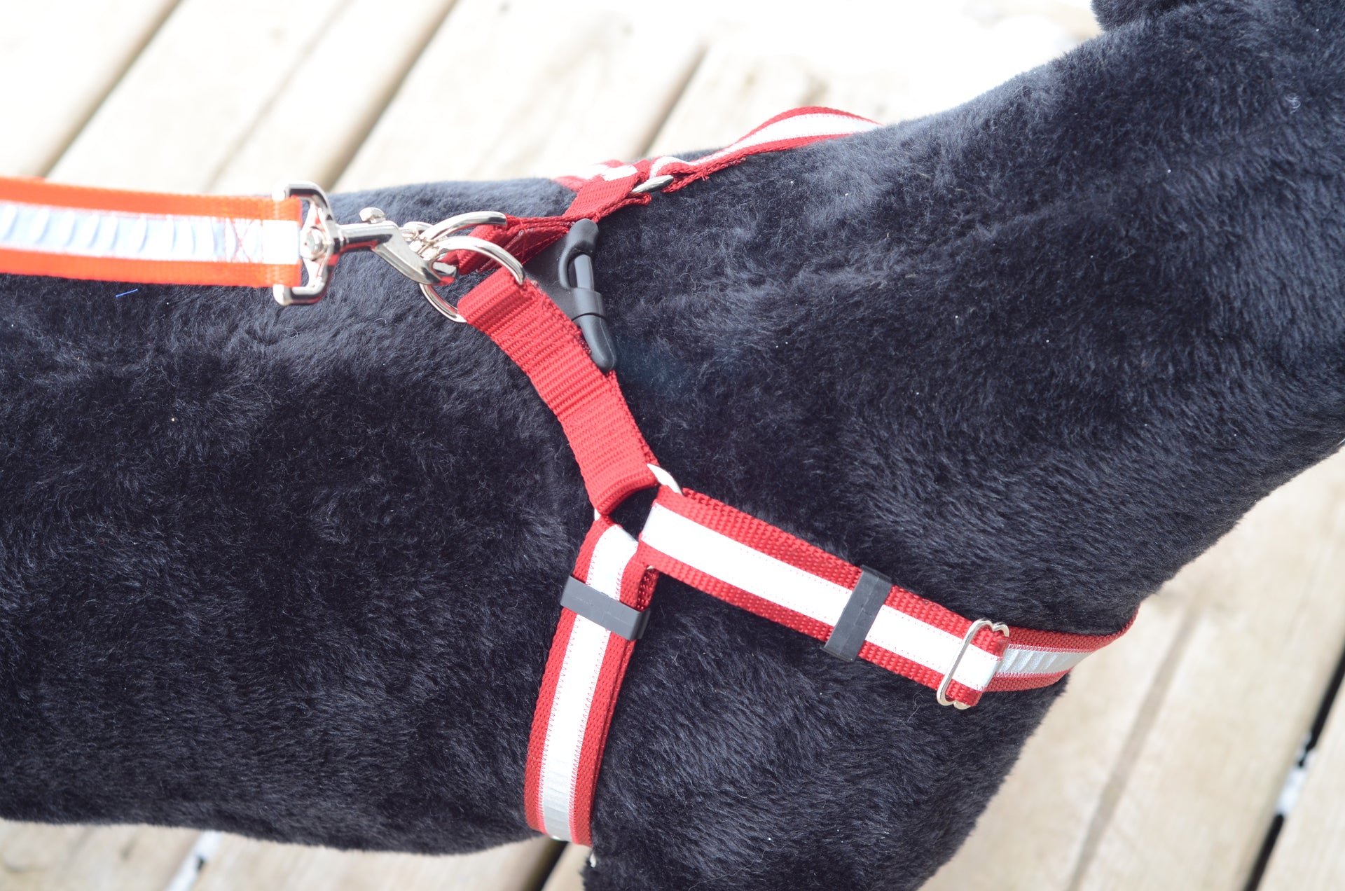 Reflective Step-In Dog Harness - Fox Valley Pet Wear