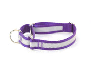 Martingale Dog Collar | Solid or Reflective | 4 widths! - Fox Valley Pet Wear